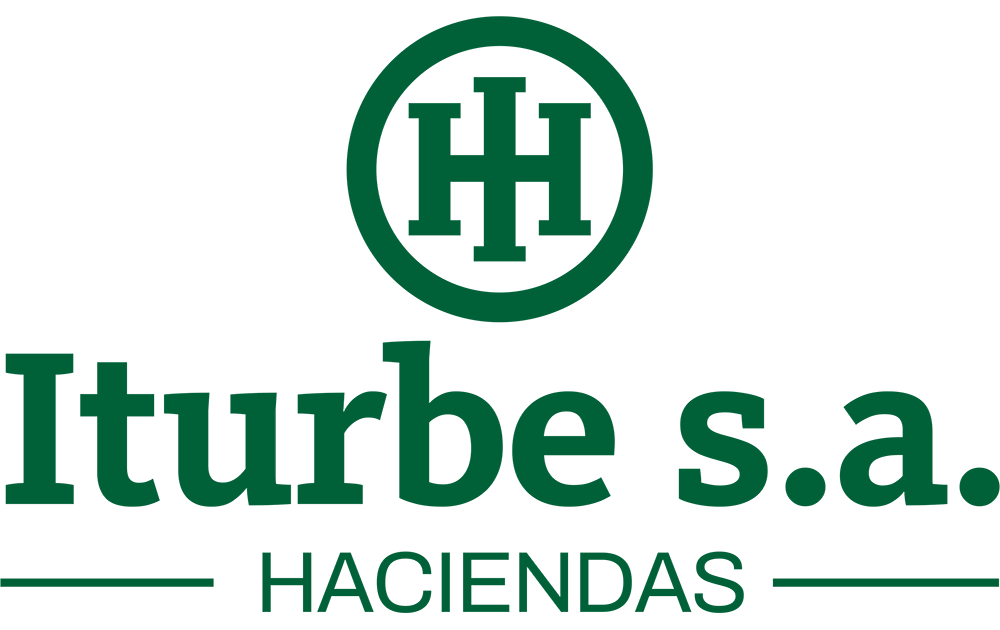 Iturbe SA Logo
